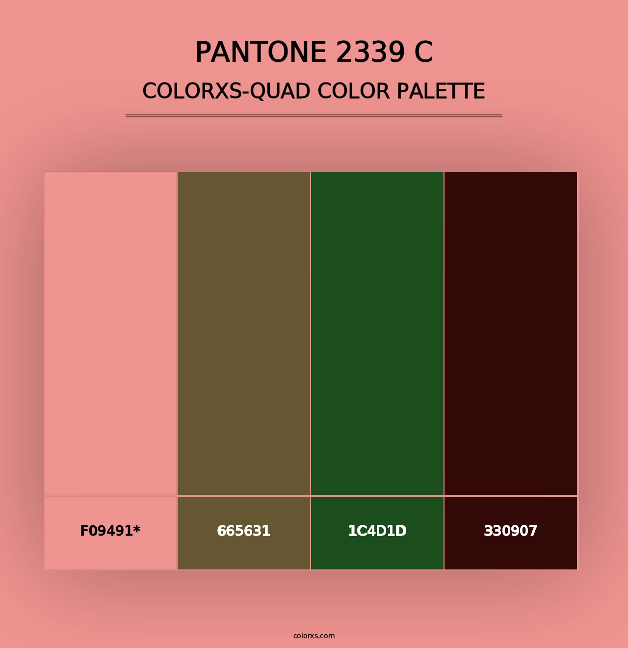 PANTONE 2339 C - Colorxs Quad Palette