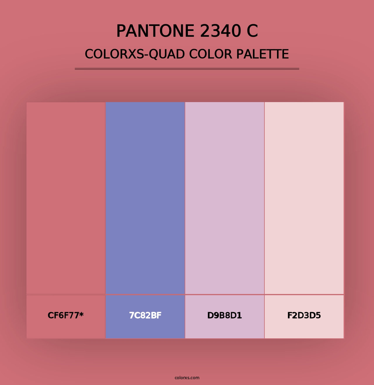 PANTONE 2340 C - Colorxs Quad Palette