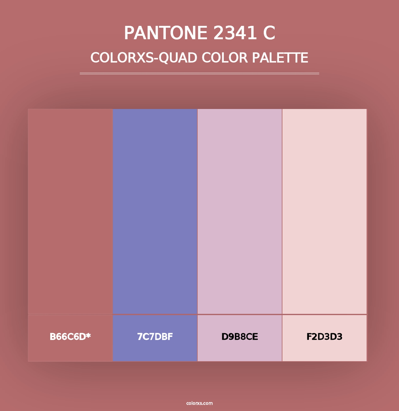 PANTONE 2341 C - Colorxs Quad Palette