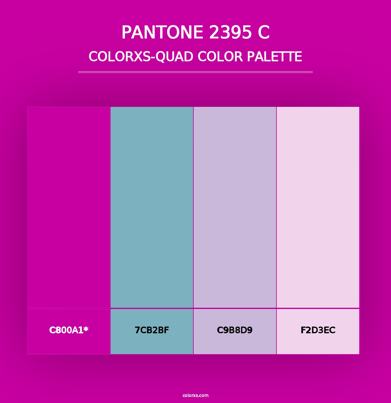 PANTONE 2395 C - Colorxs Quad Palette