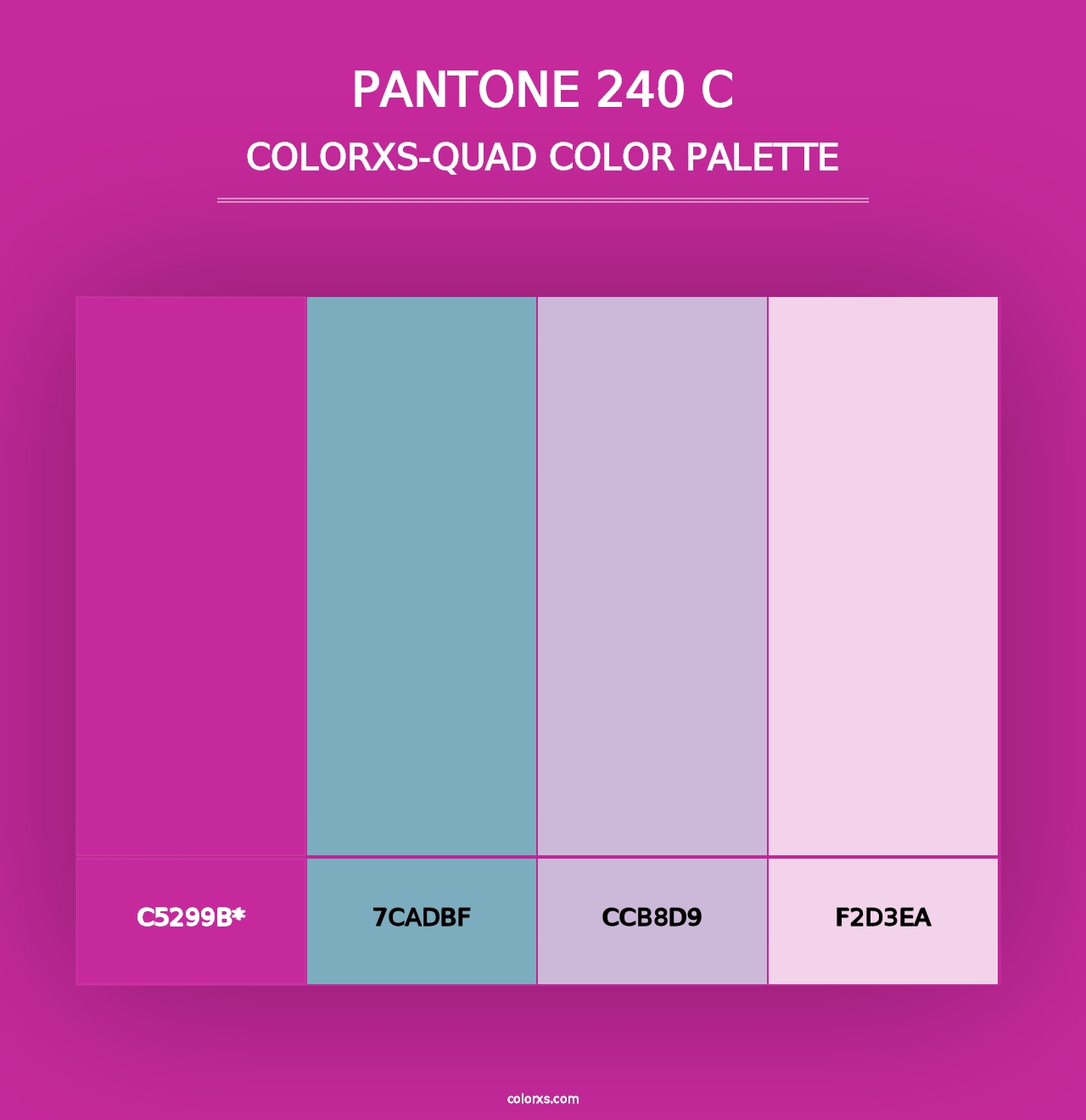 PANTONE 240 C - Colorxs Quad Palette