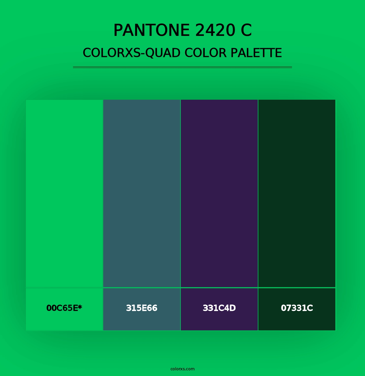 PANTONE 2420 C - Colorxs Quad Palette