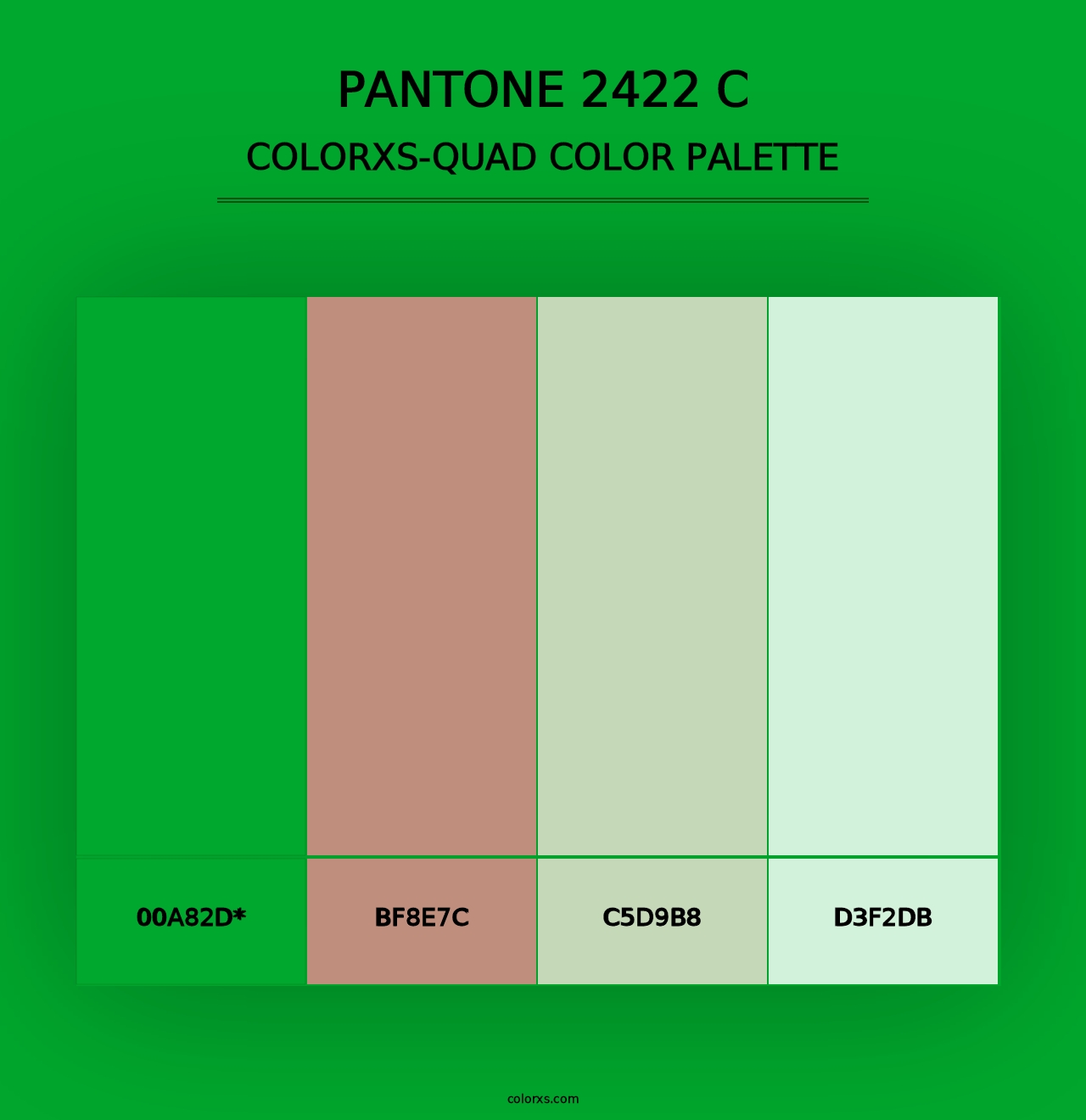 PANTONE 2422 C - Colorxs Quad Palette