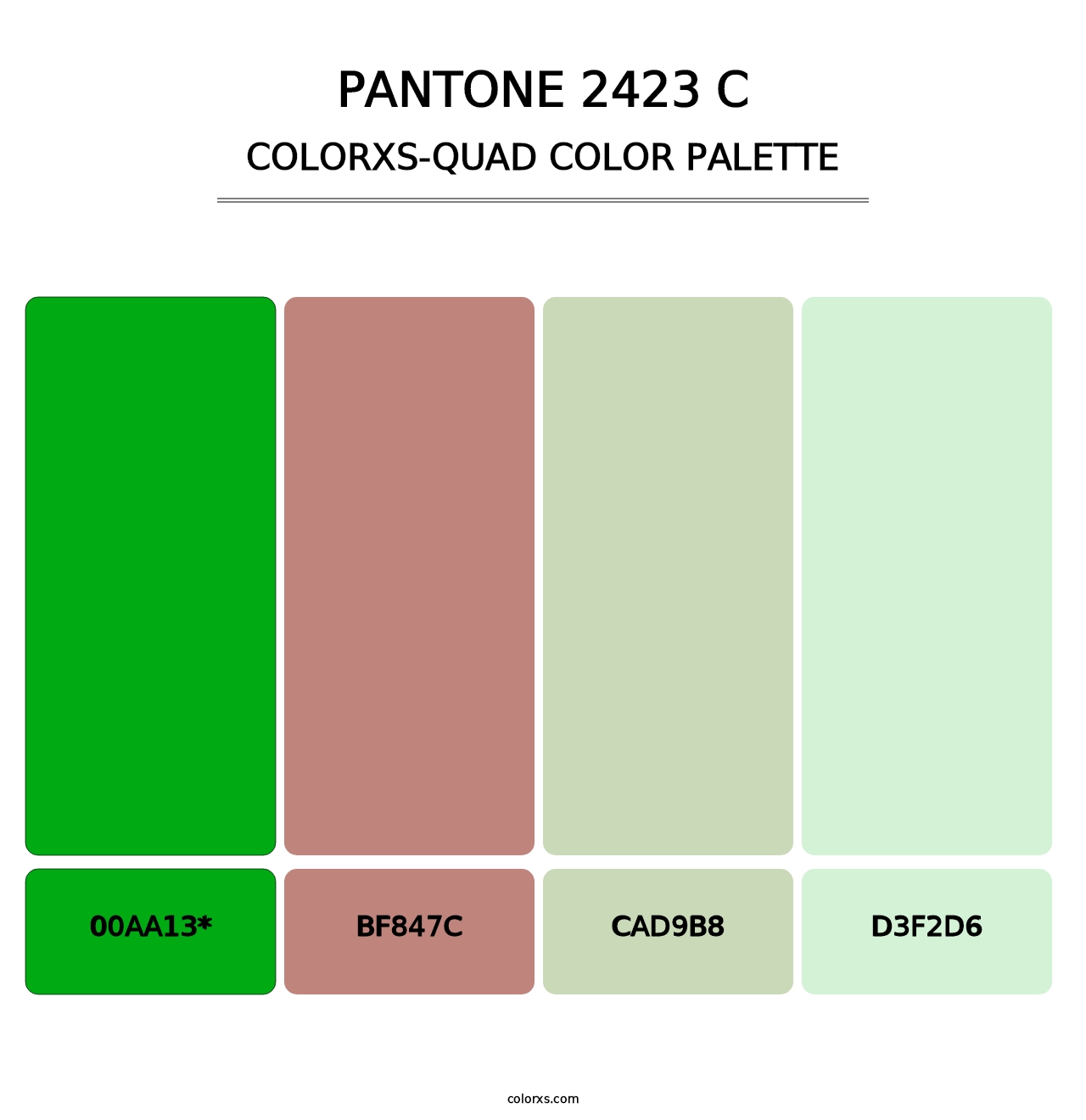 PANTONE 2423 C - Colorxs Quad Palette