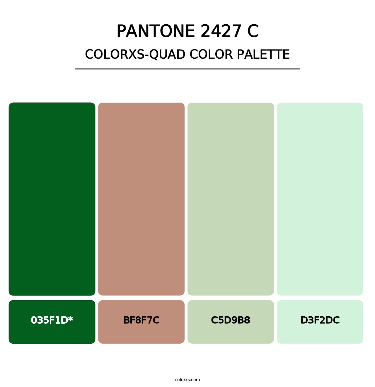 PANTONE 2427 C - Colorxs Quad Palette