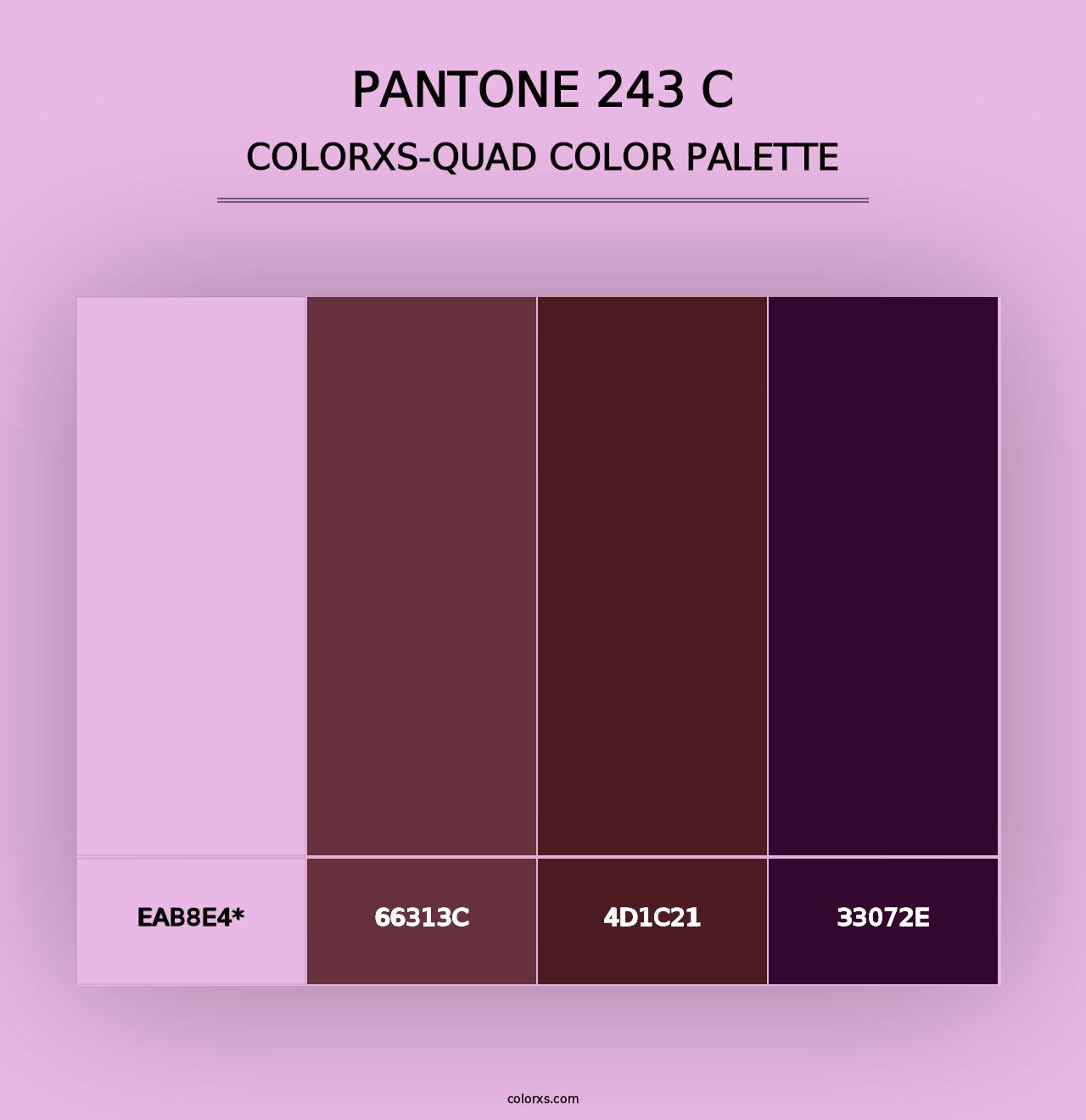 PANTONE 243 C - Colorxs Quad Palette