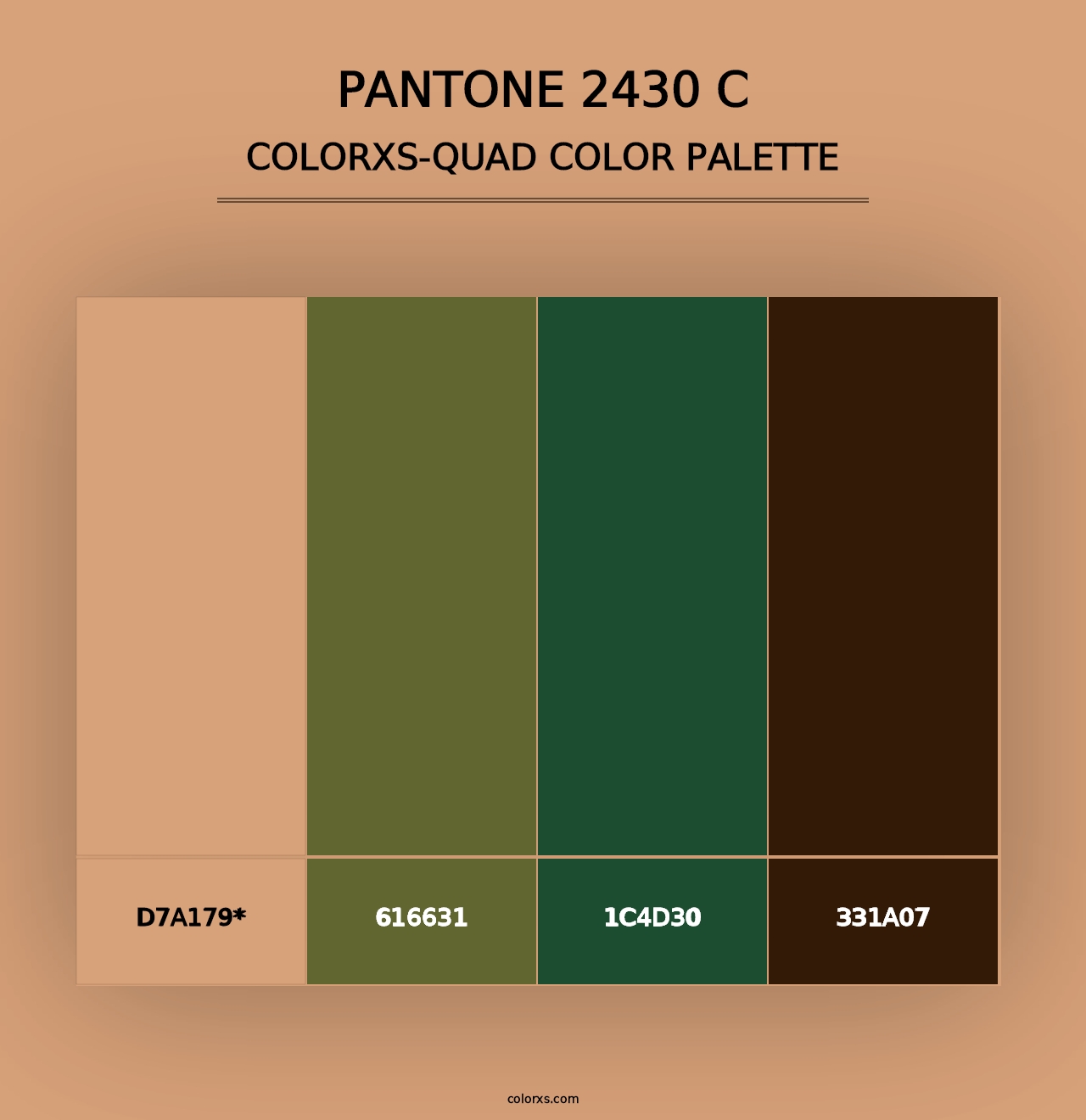 PANTONE 2430 C - Colorxs Quad Palette