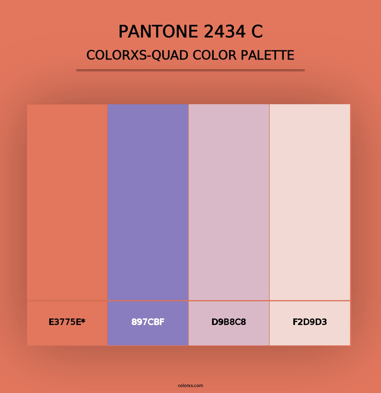 PANTONE 2434 C - Colorxs Quad Palette