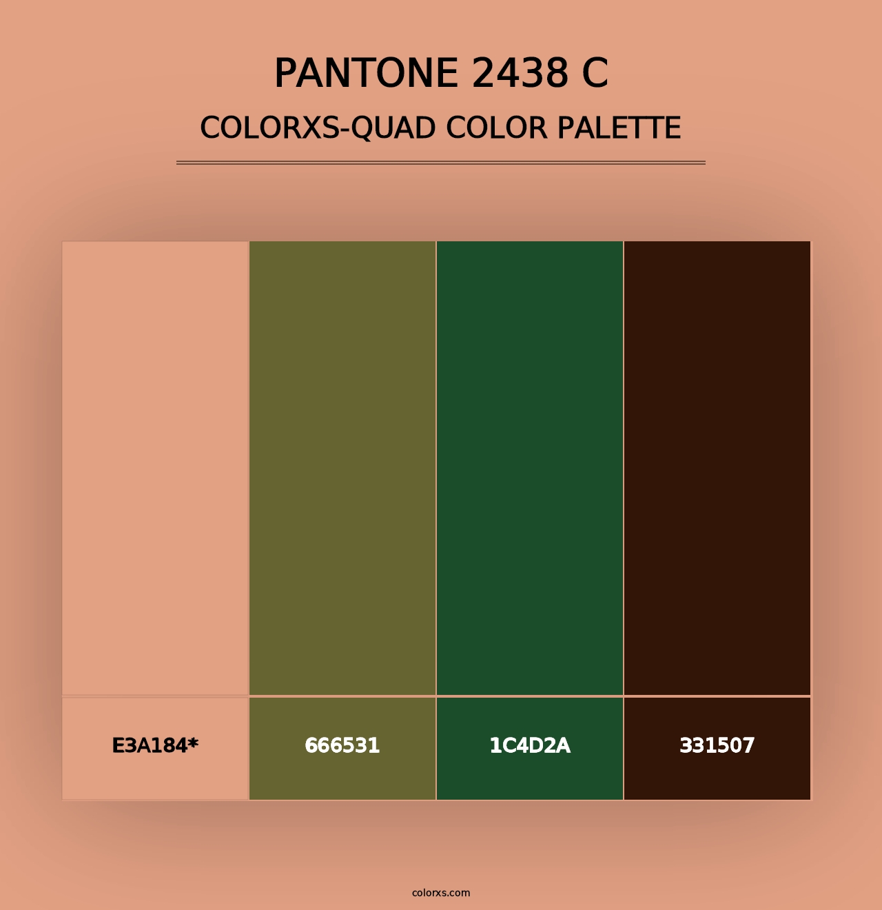 PANTONE 2438 C - Colorxs Quad Palette