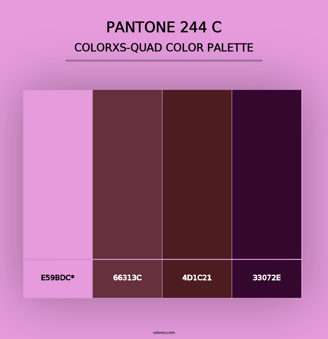 PANTONE 244 C - Colorxs Quad Palette