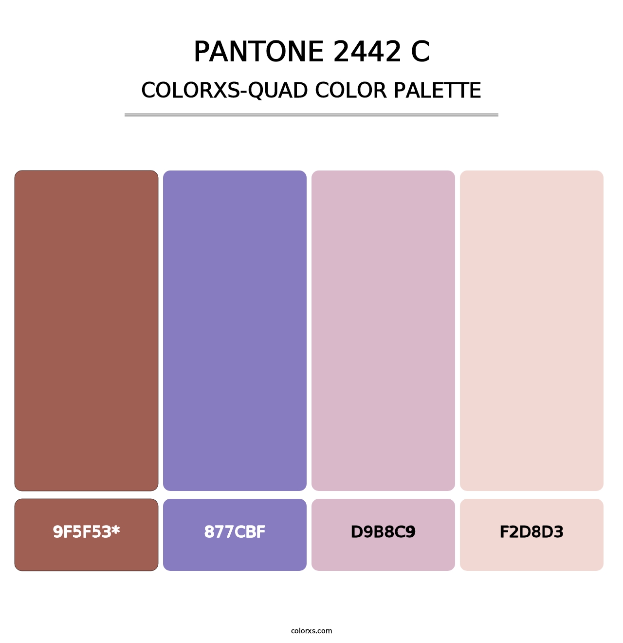 PANTONE 2442 C - Colorxs Quad Palette