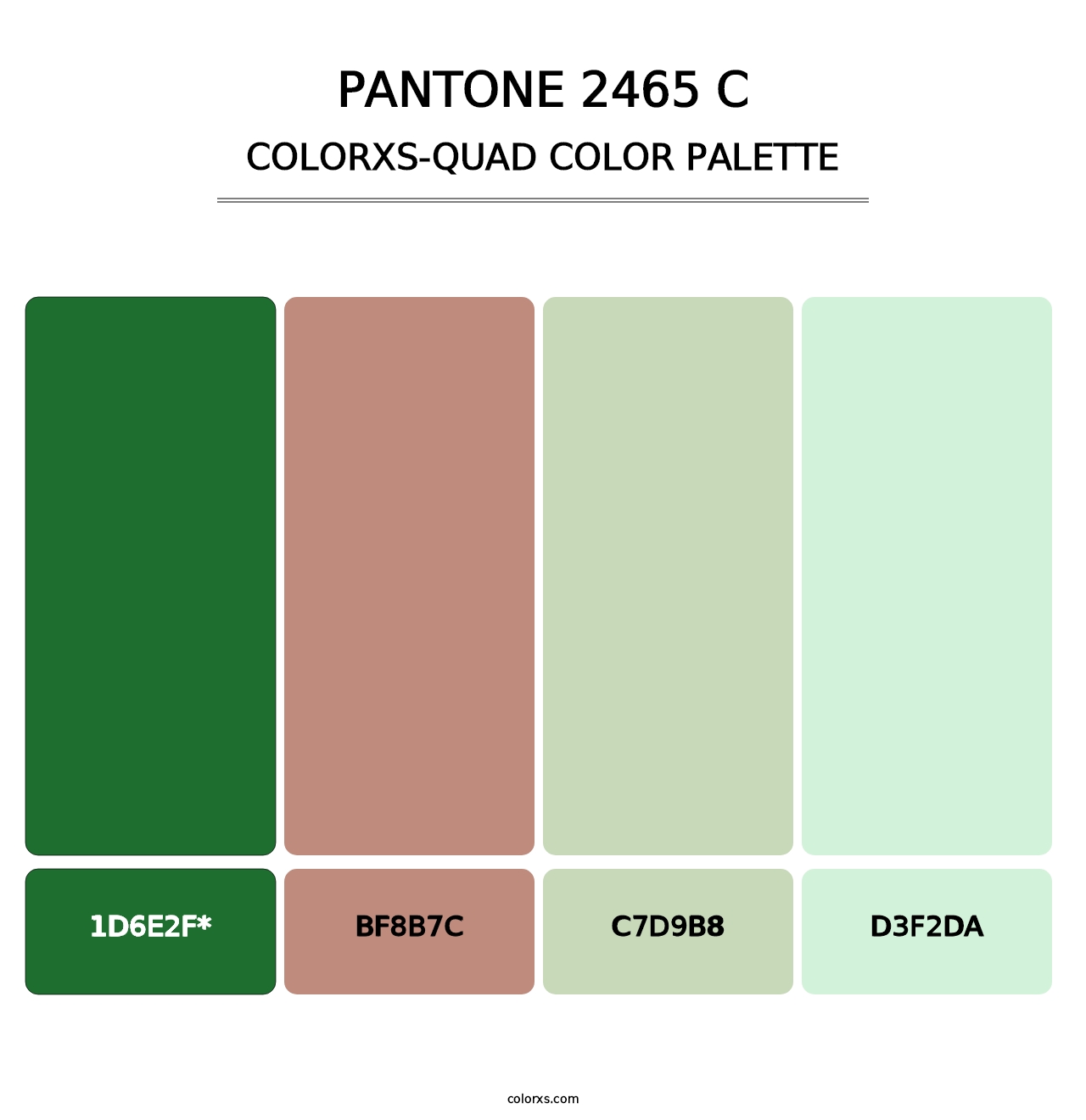 PANTONE 2465 C - Colorxs Quad Palette