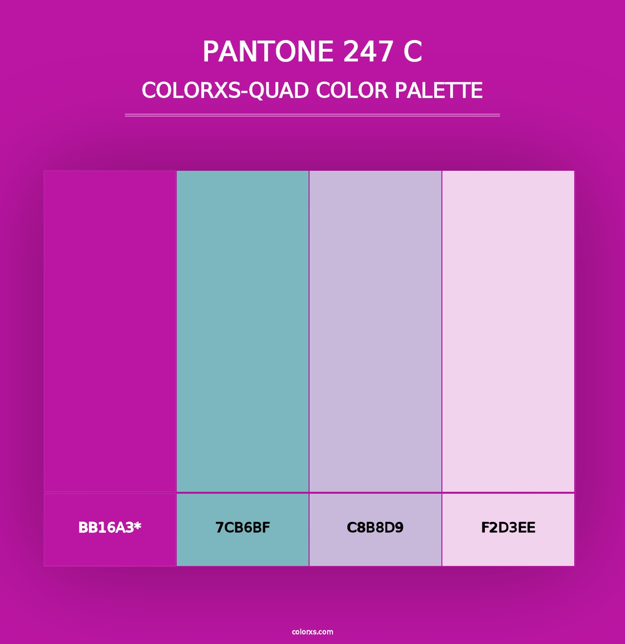 PANTONE 247 C - Colorxs Quad Palette