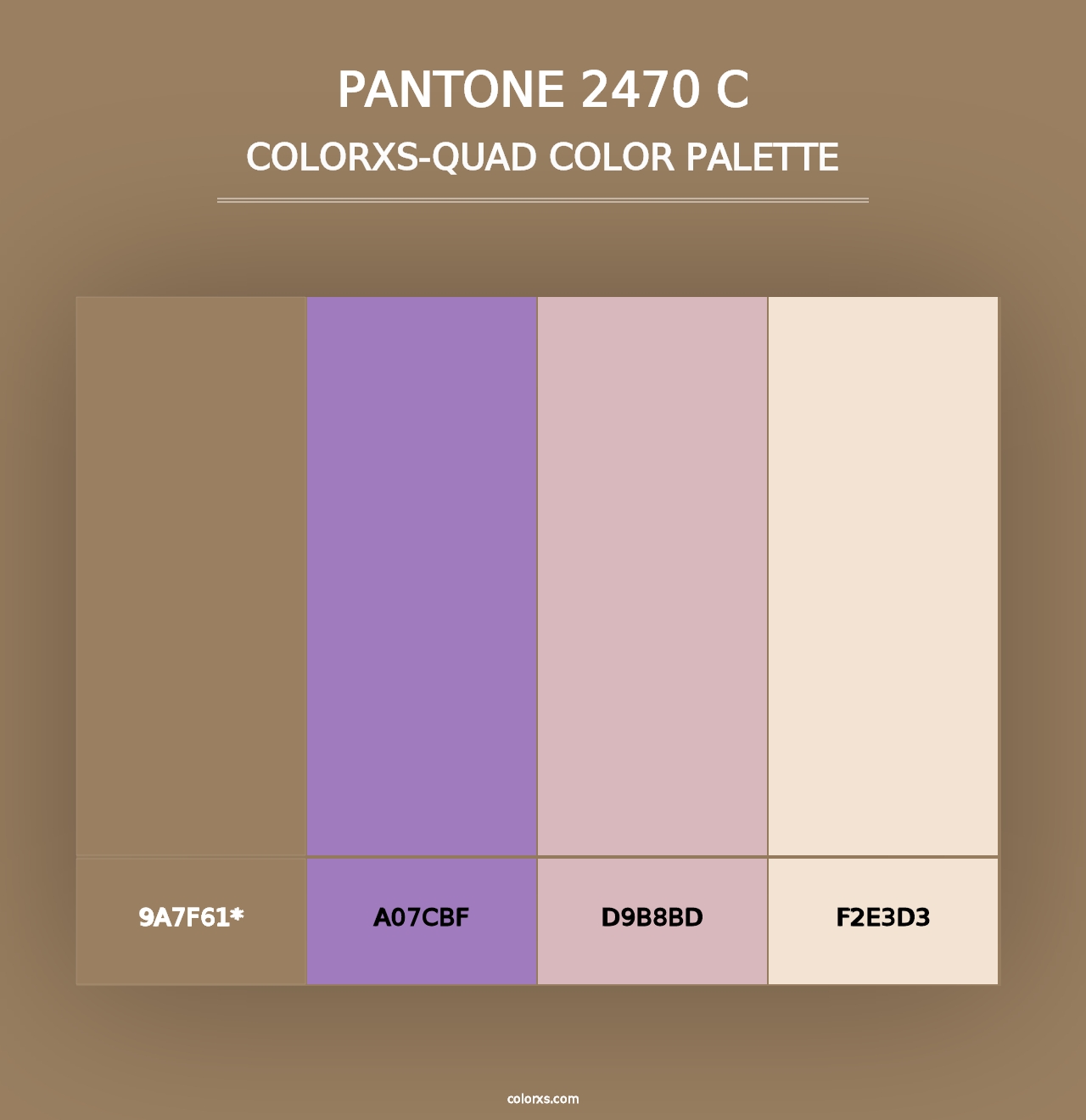 PANTONE 2470 C - Colorxs Quad Palette