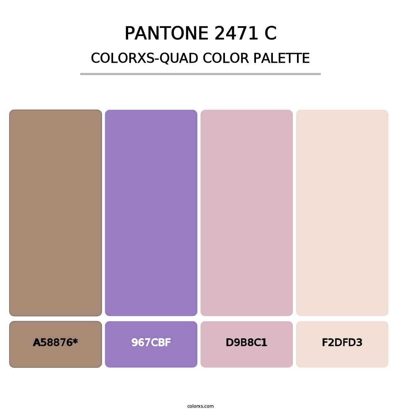PANTONE 2471 C - Colorxs Quad Palette