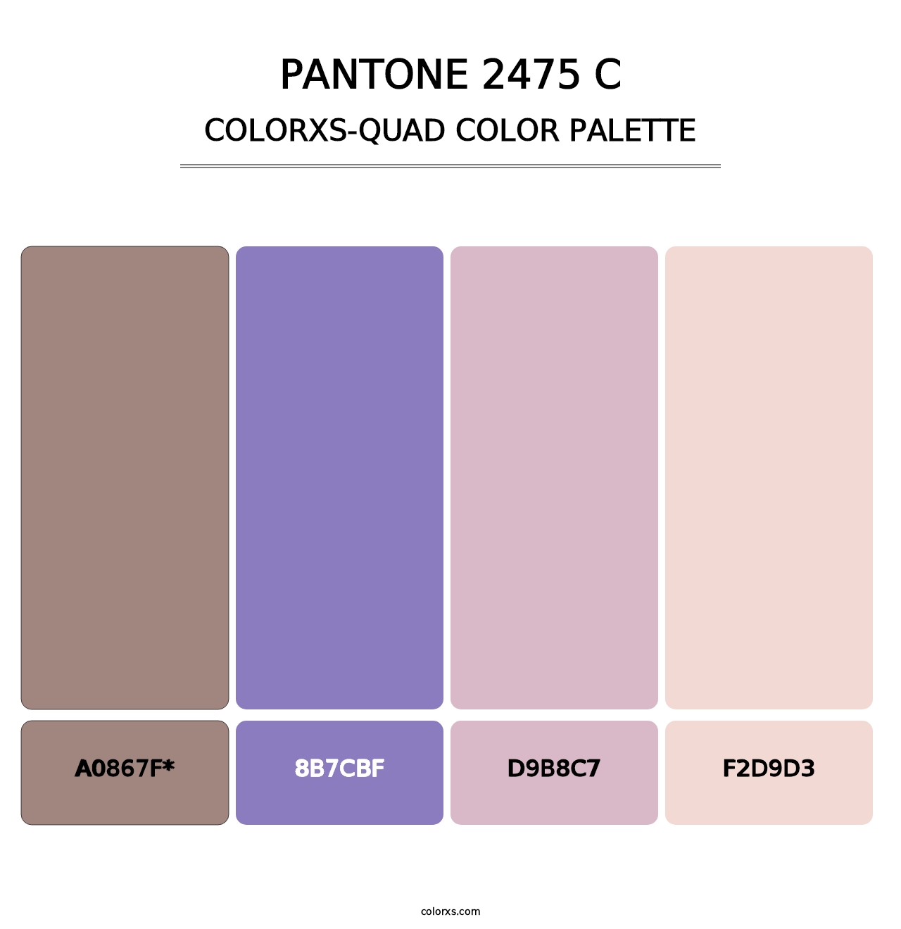 PANTONE 2475 C - Colorxs Quad Palette