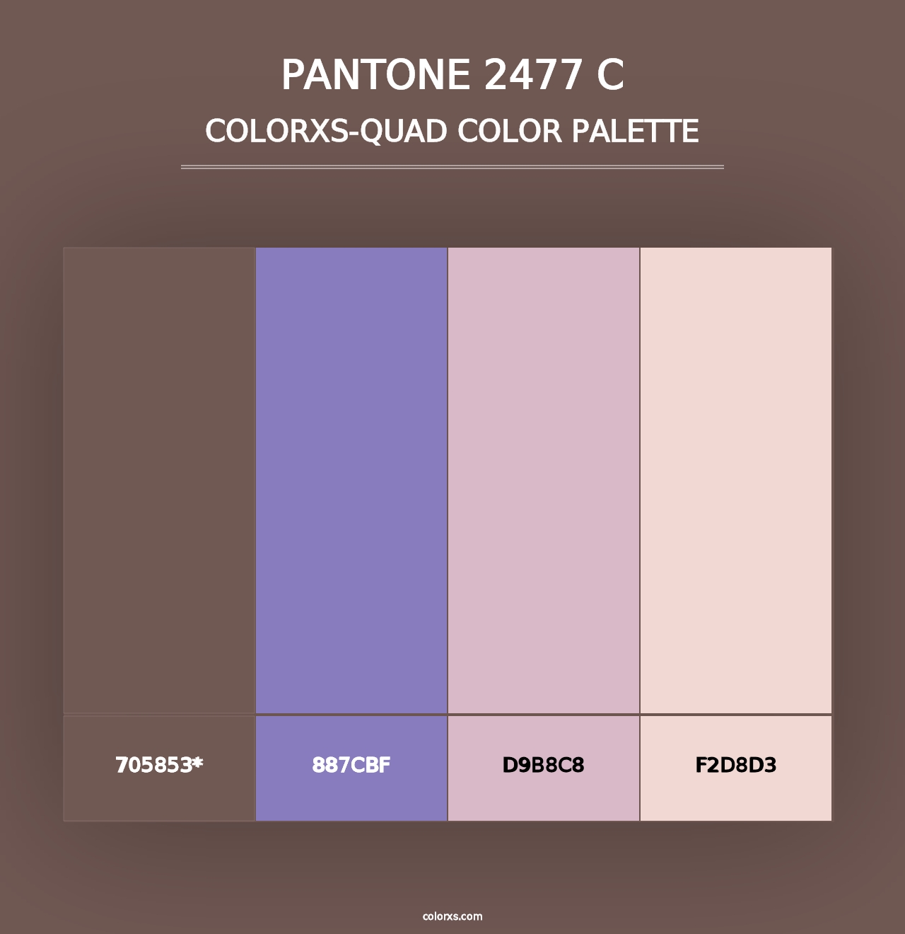 PANTONE 2477 C - Colorxs Quad Palette