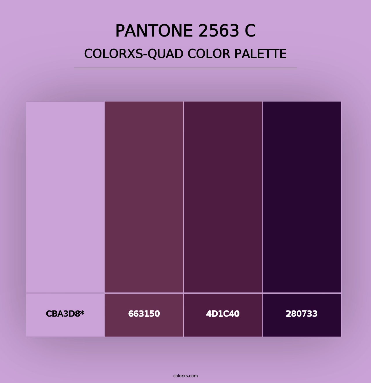 PANTONE 2563 C - Colorxs Quad Palette