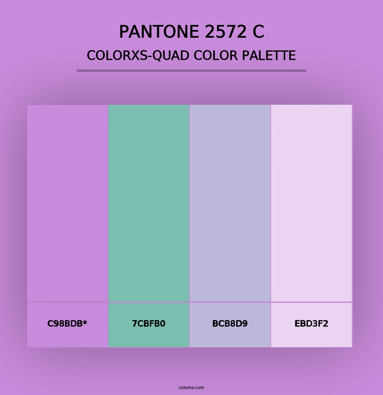 PANTONE 2572 C - Colorxs Quad Palette