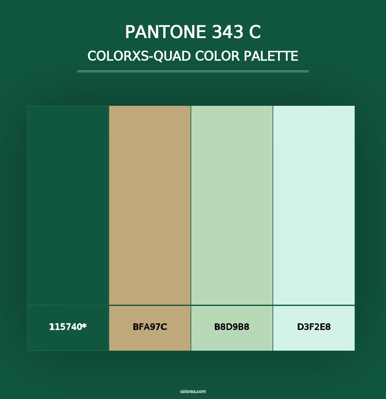 PANTONE 343 C - Colorxs Quad Palette