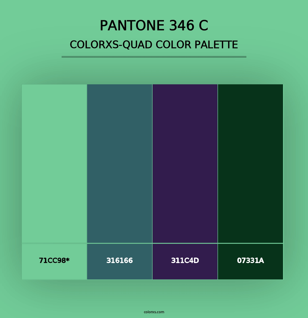 PANTONE 346 C - Colorxs Quad Palette