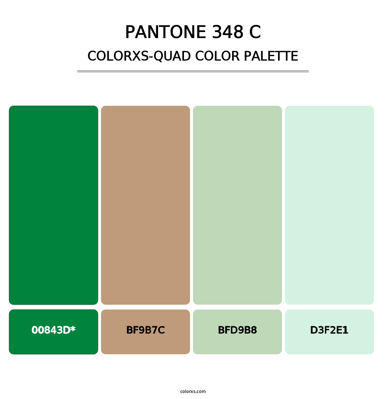 PANTONE 348 C - Colorxs Quad Palette