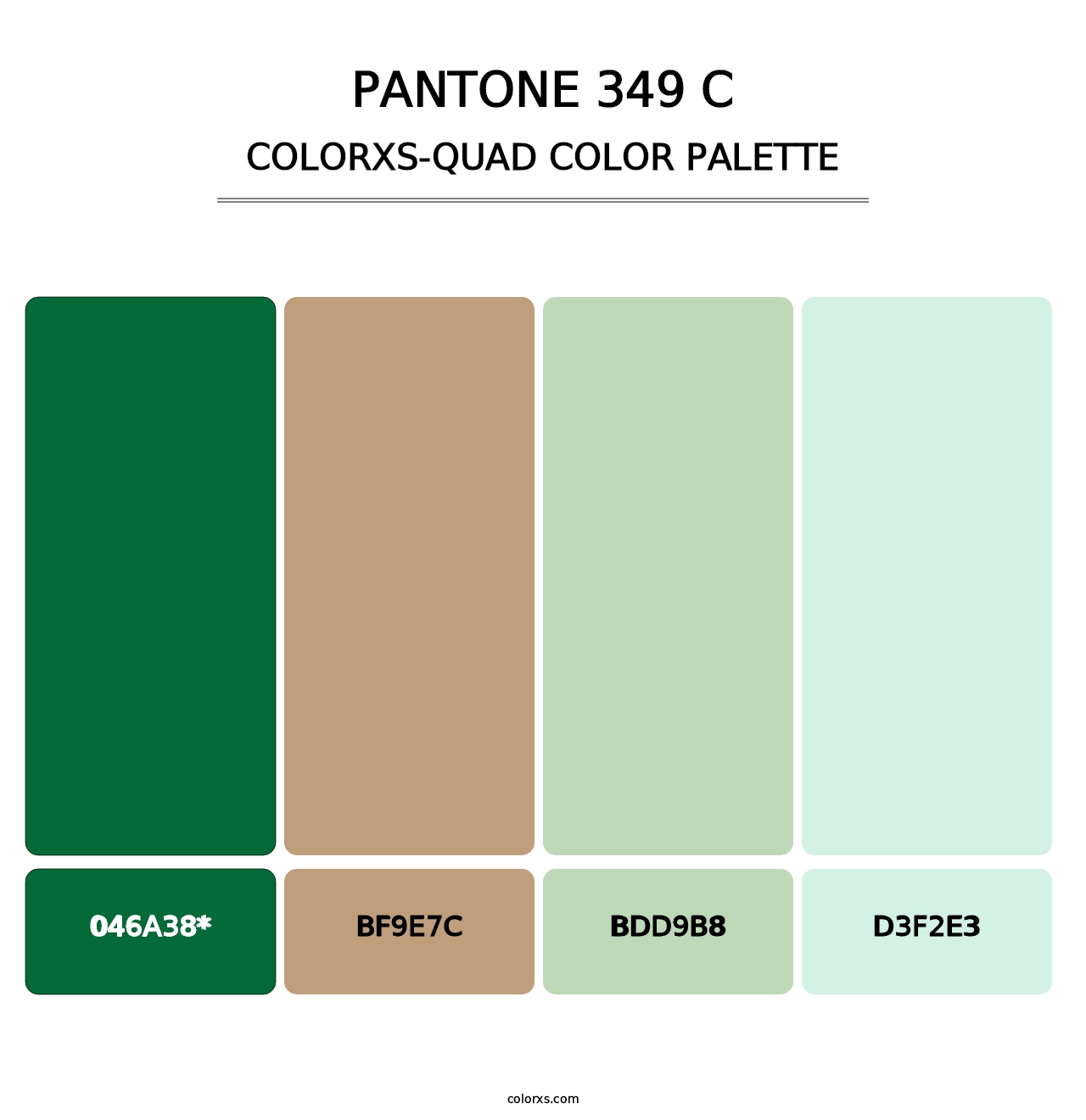 PANTONE 349 C - Colorxs Quad Palette