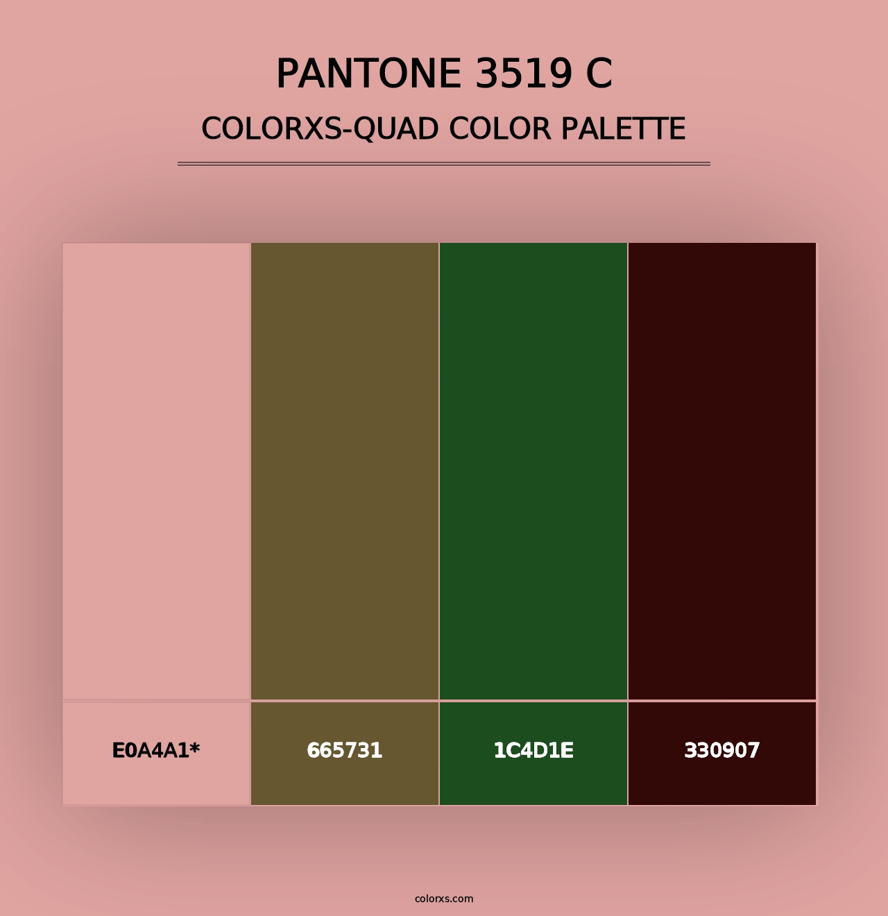 PANTONE 3519 C - Colorxs Quad Palette