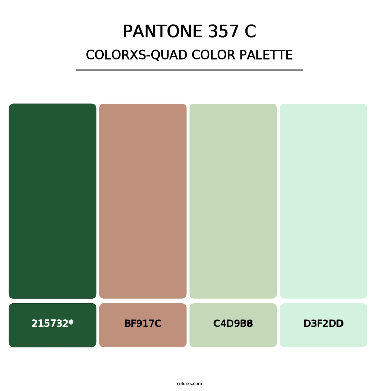 PANTONE 357 C - Colorxs Quad Palette