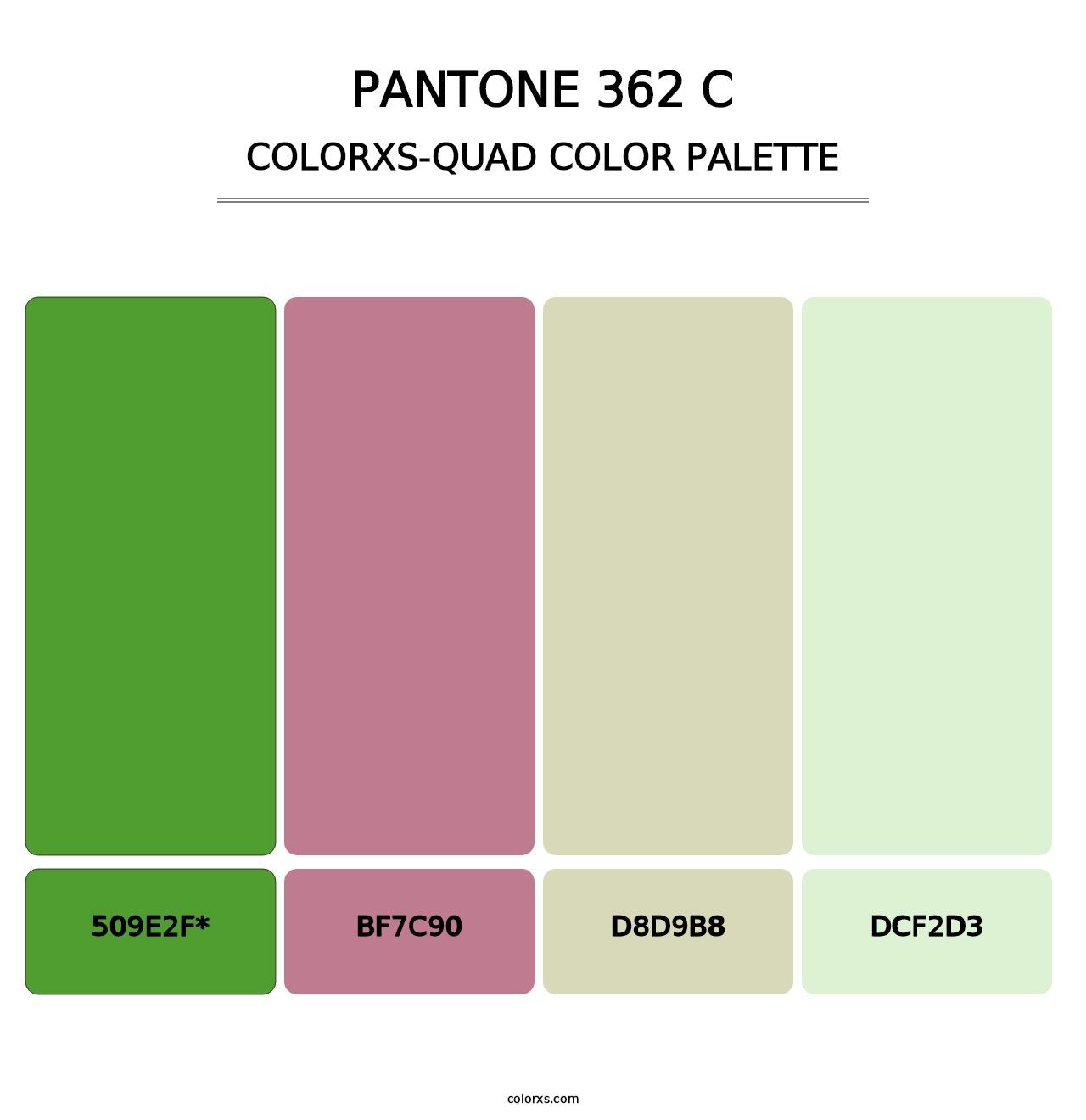 PANTONE 362 C - Colorxs Quad Palette