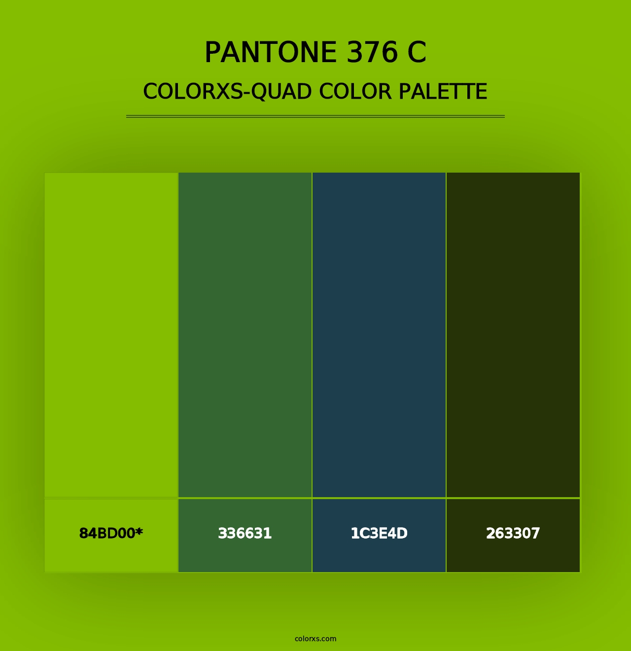 PANTONE 376 C - Colorxs Quad Palette