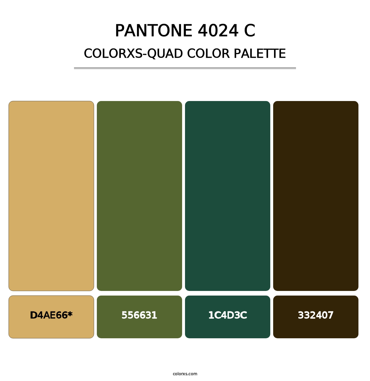 PANTONE 4024 C - Colorxs Quad Palette