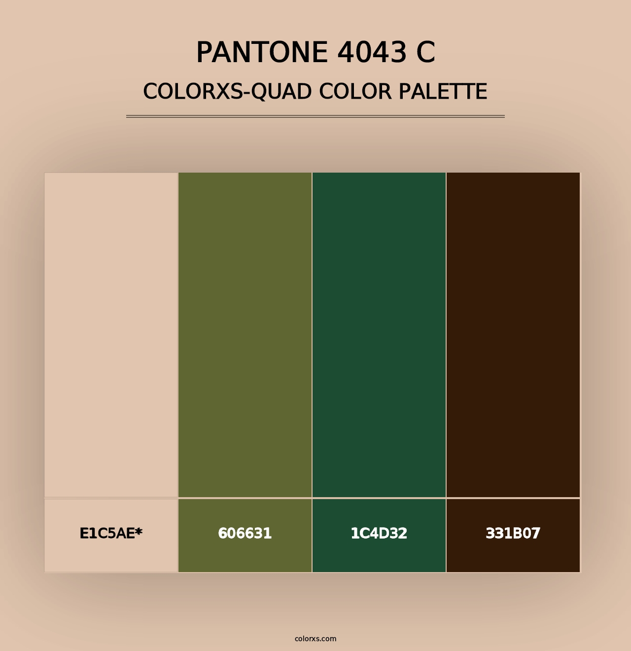 PANTONE 4043 C - Colorxs Quad Palette