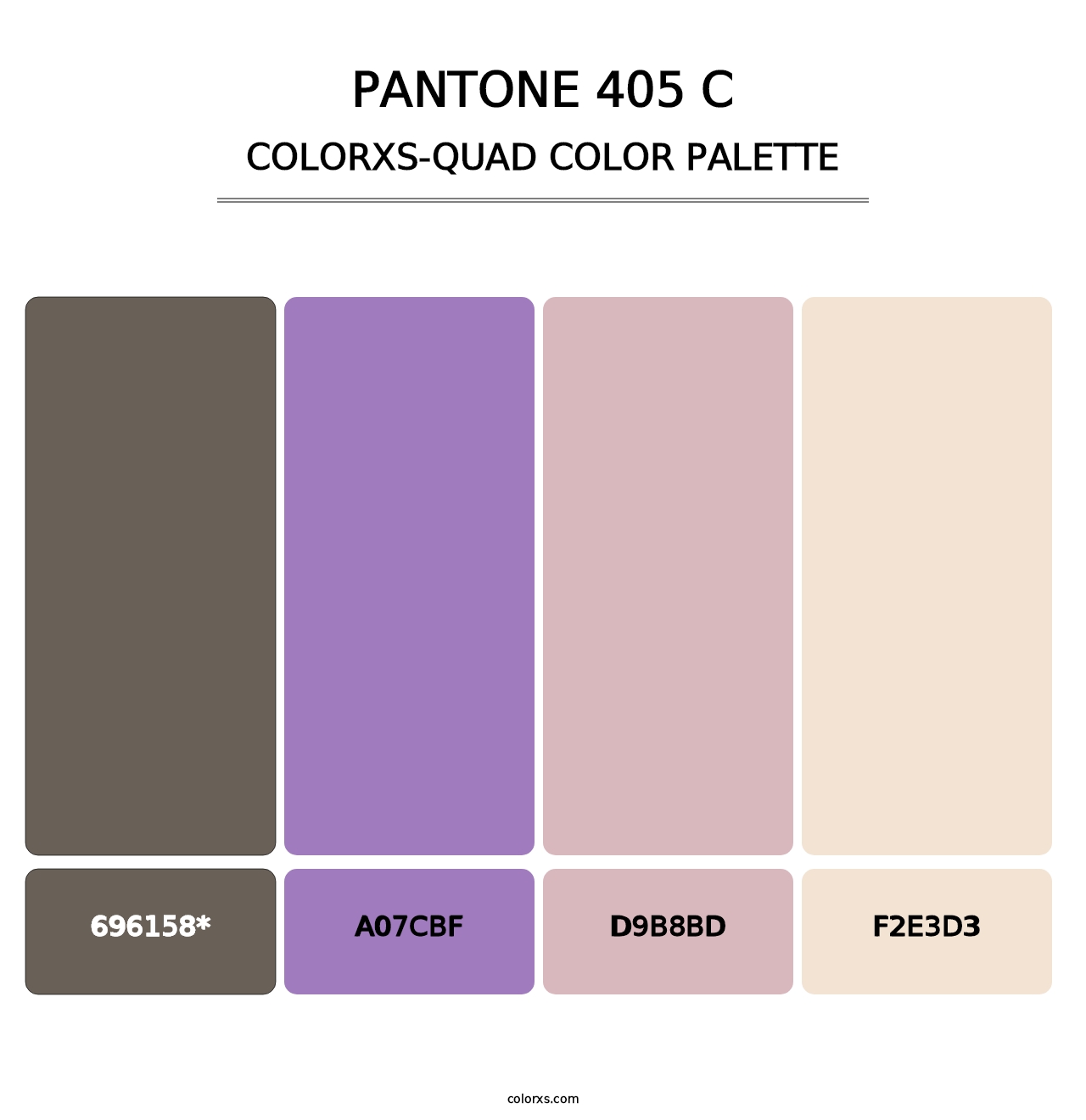 PANTONE 405 C - Colorxs Quad Palette