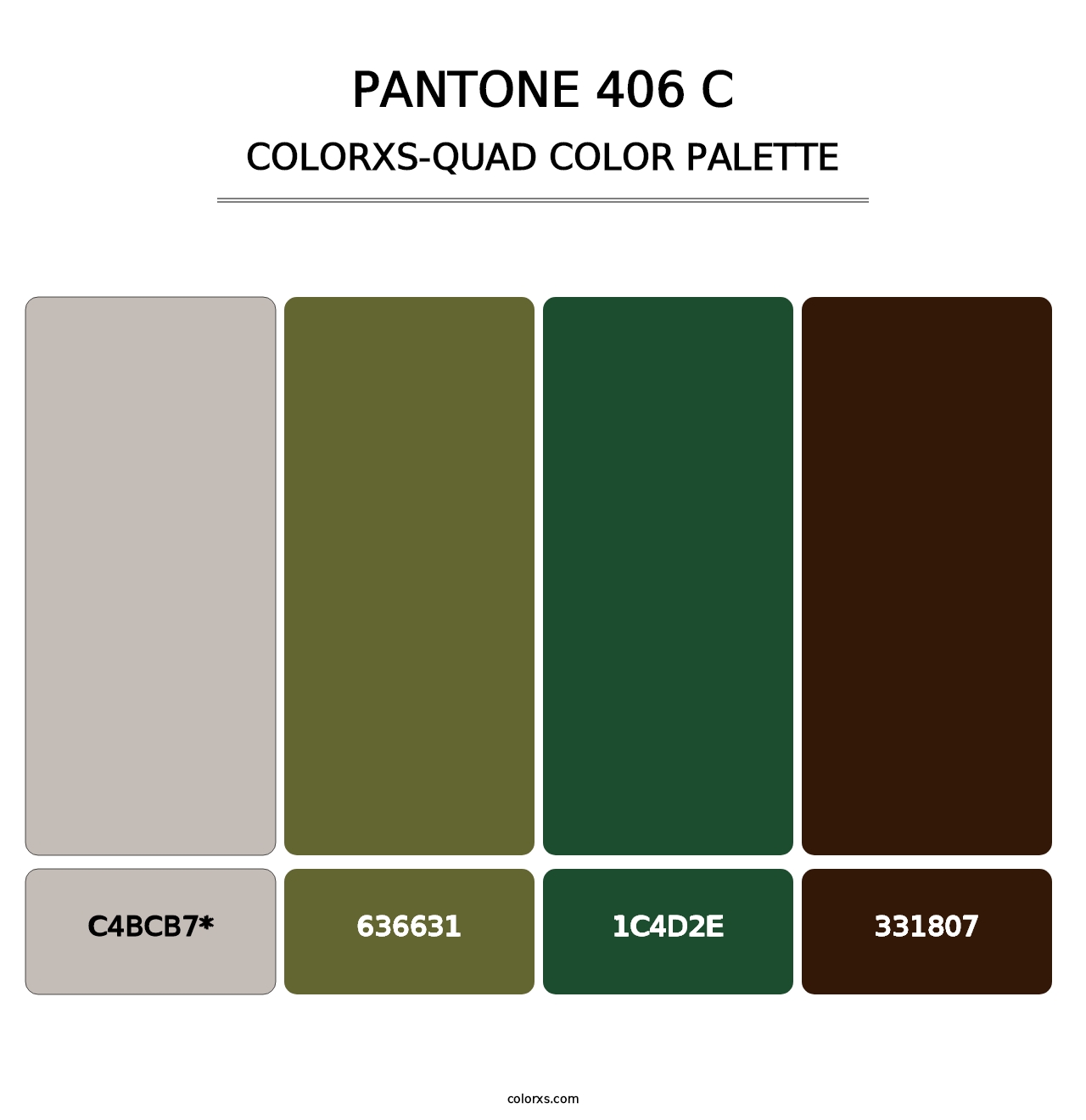 PANTONE 406 C - Colorxs Quad Palette