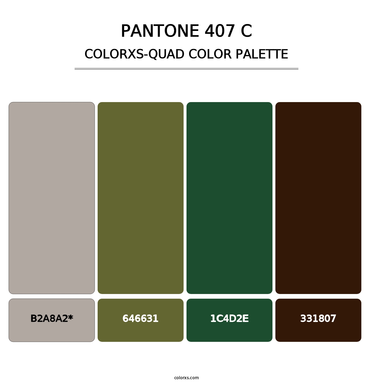 PANTONE 407 C - Colorxs Quad Palette