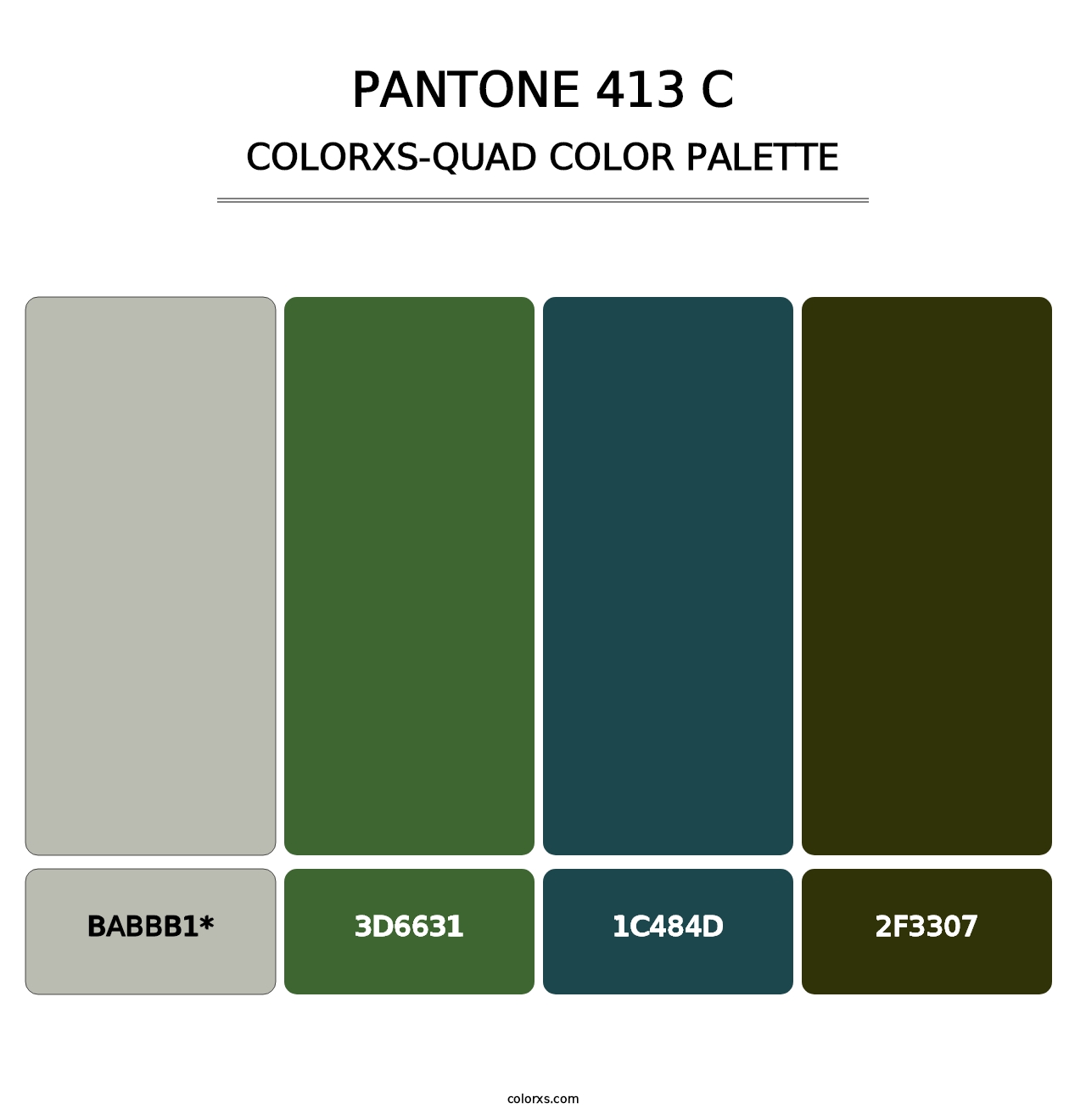 PANTONE 413 C - Colorxs Quad Palette