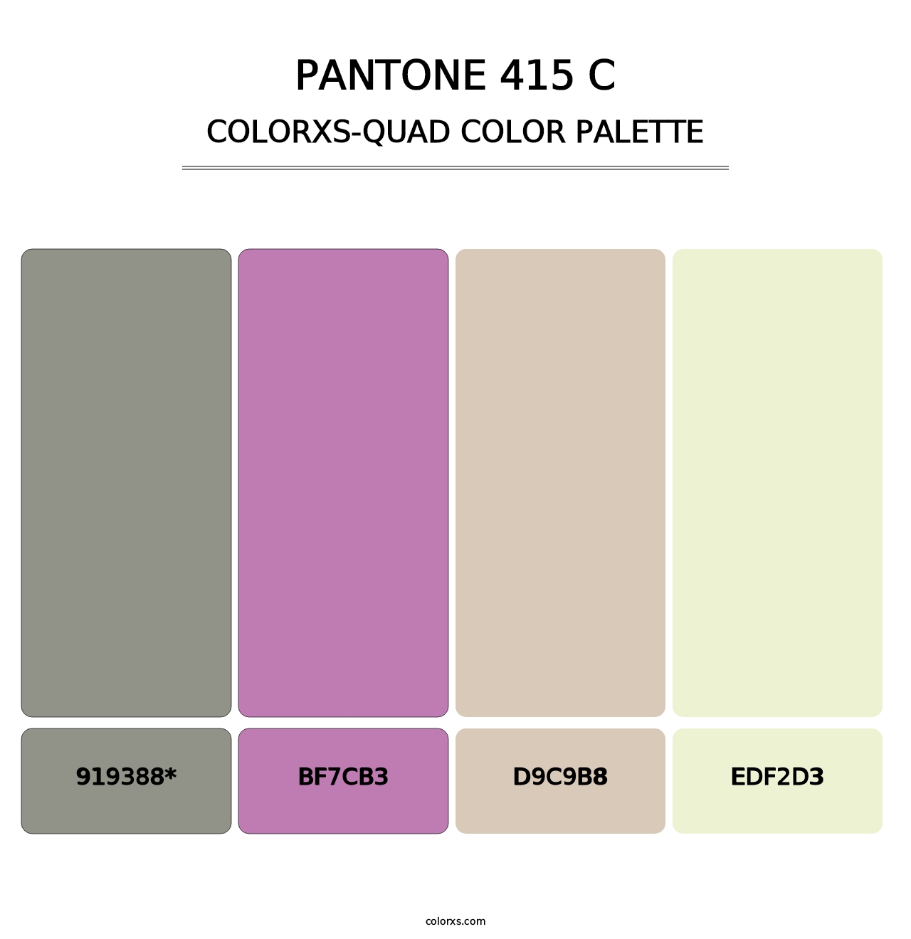 PANTONE 415 C - Colorxs Quad Palette