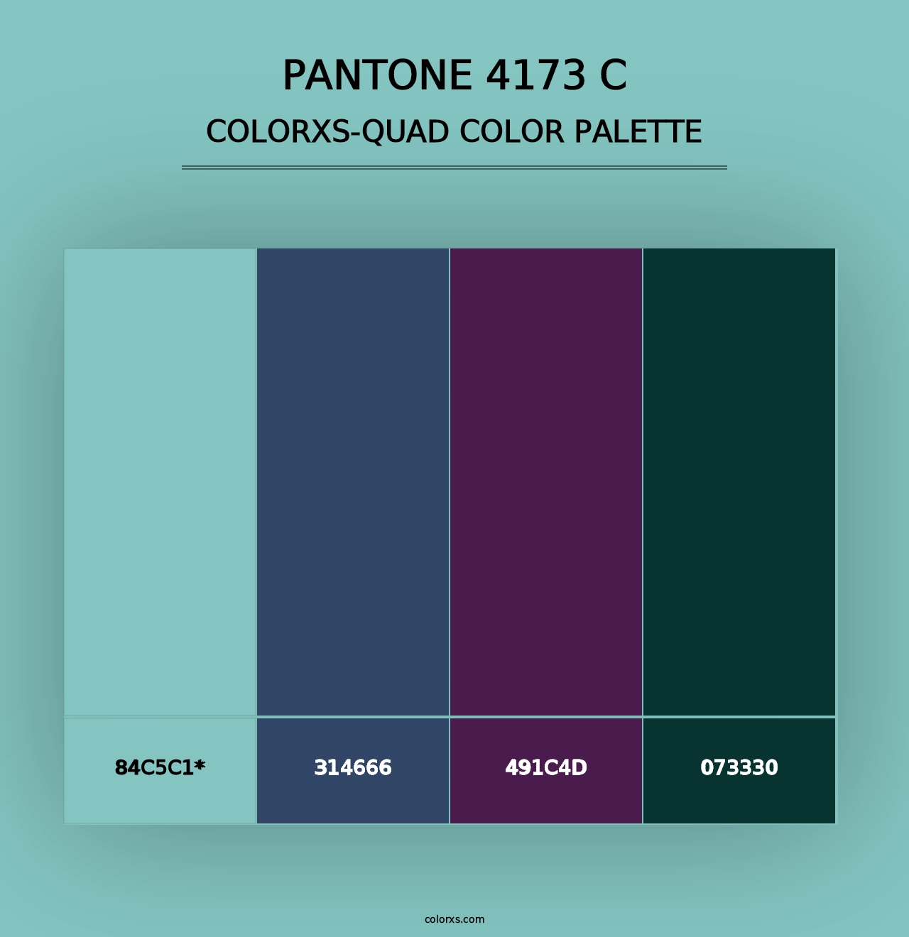 PANTONE 4173 C - Colorxs Quad Palette