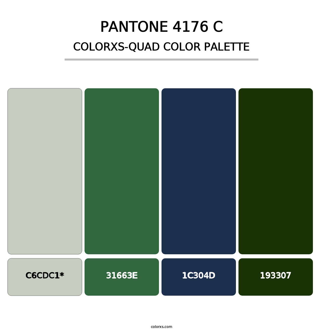 PANTONE 4176 C - Colorxs Quad Palette