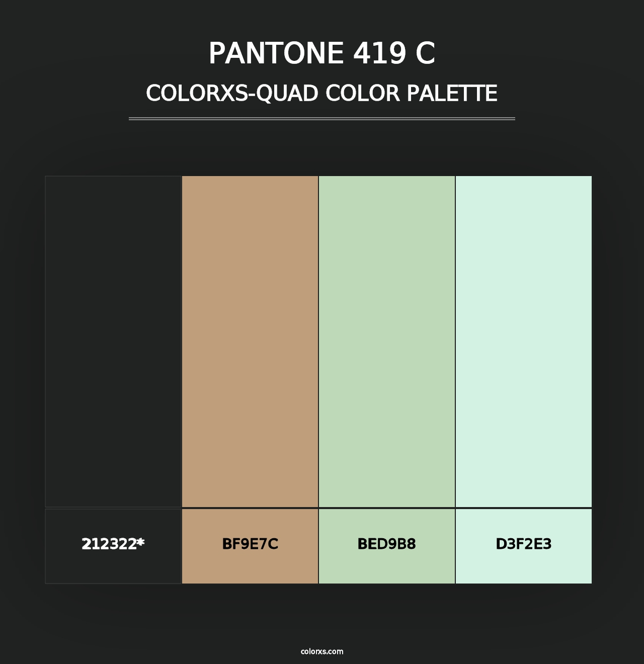 PANTONE 419 C - Colorxs Quad Palette