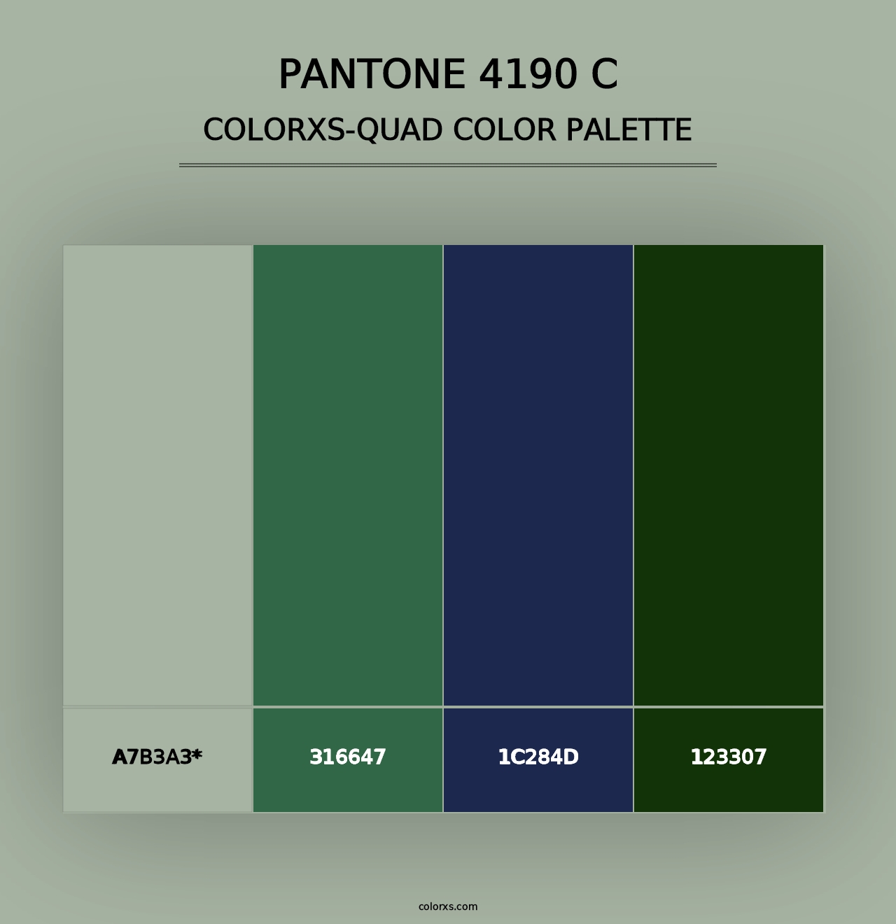 PANTONE 4190 C - Colorxs Quad Palette