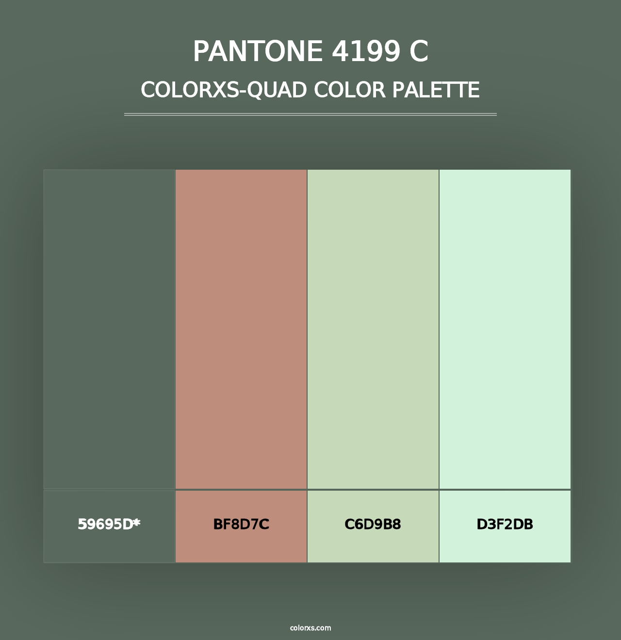 PANTONE 4199 C - Colorxs Quad Palette