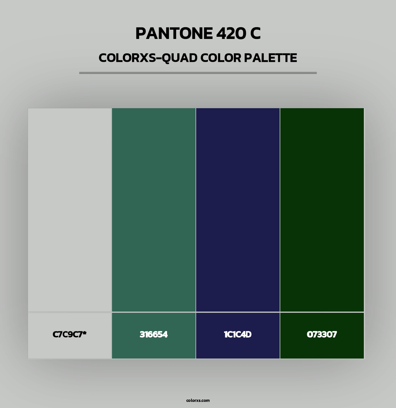 PANTONE 420 C - Colorxs Quad Palette