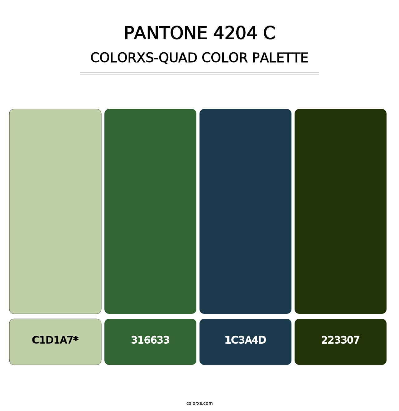 PANTONE 4204 C - Colorxs Quad Palette