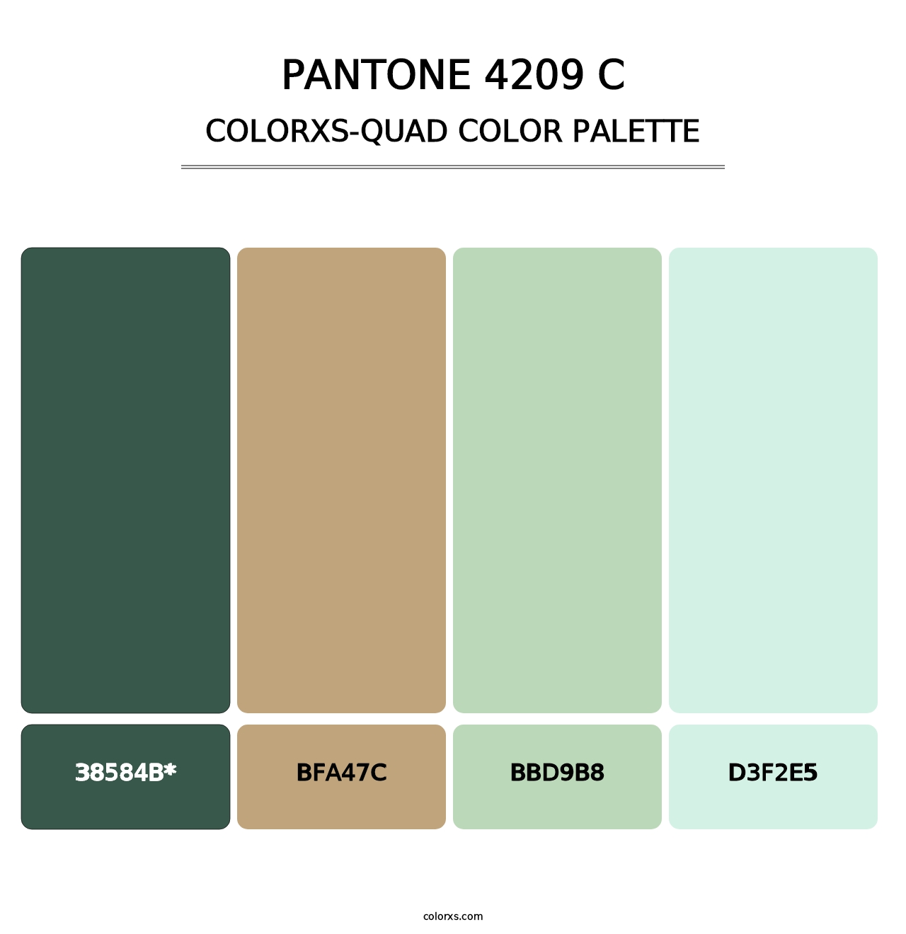 PANTONE 4209 C - Colorxs Quad Palette