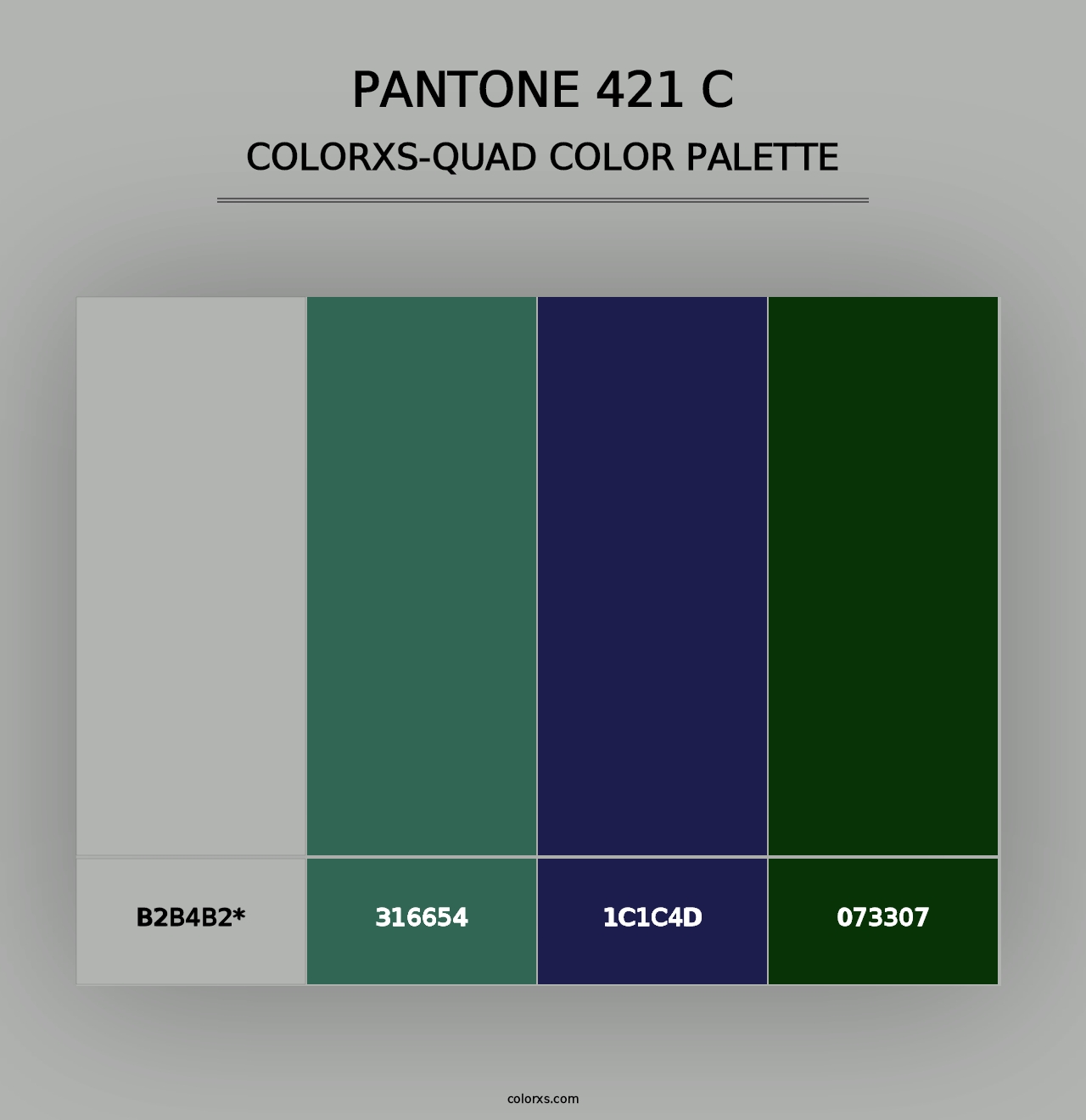 PANTONE 421 C - Colorxs Quad Palette