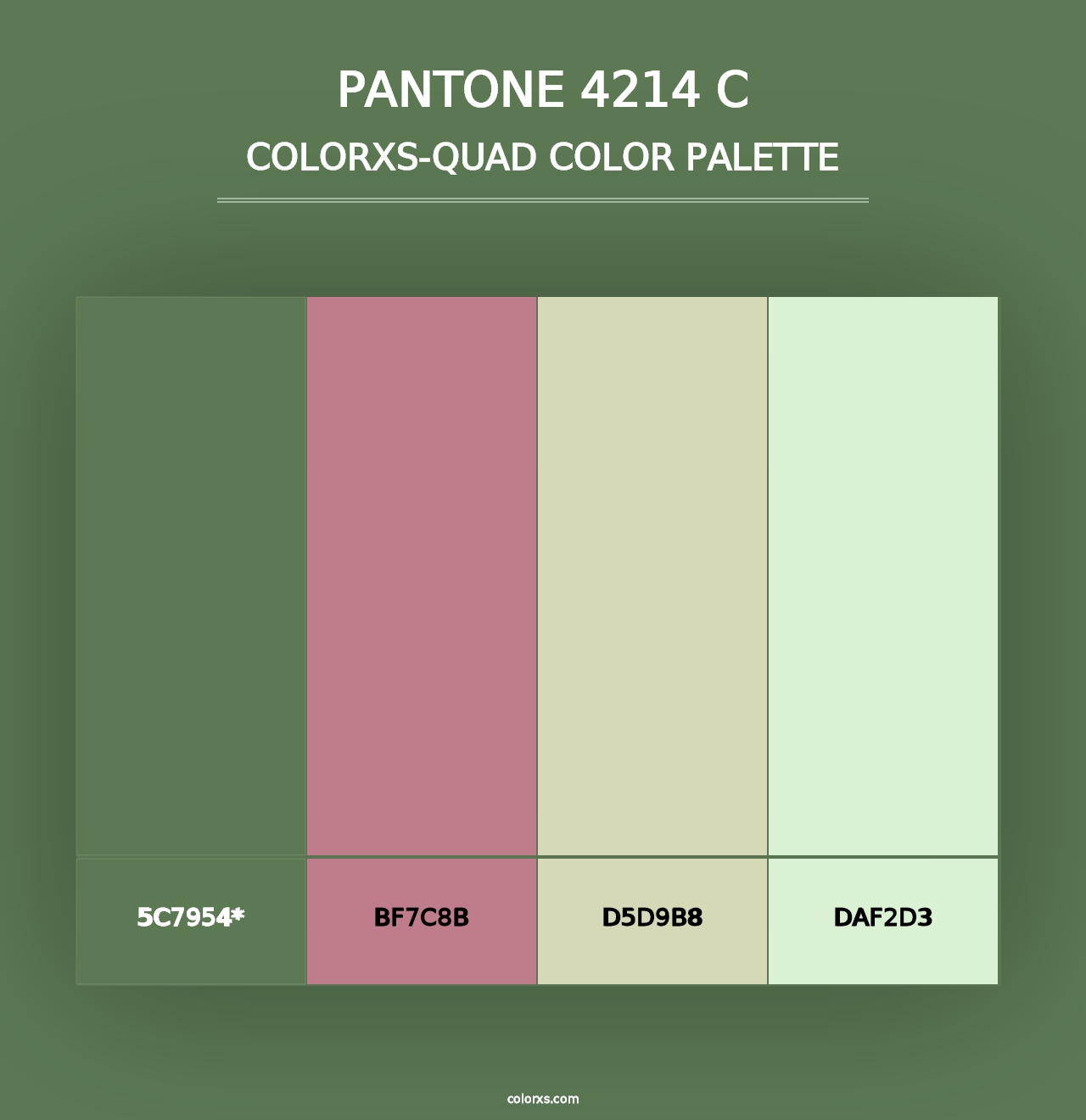 PANTONE 4214 C - Colorxs Quad Palette