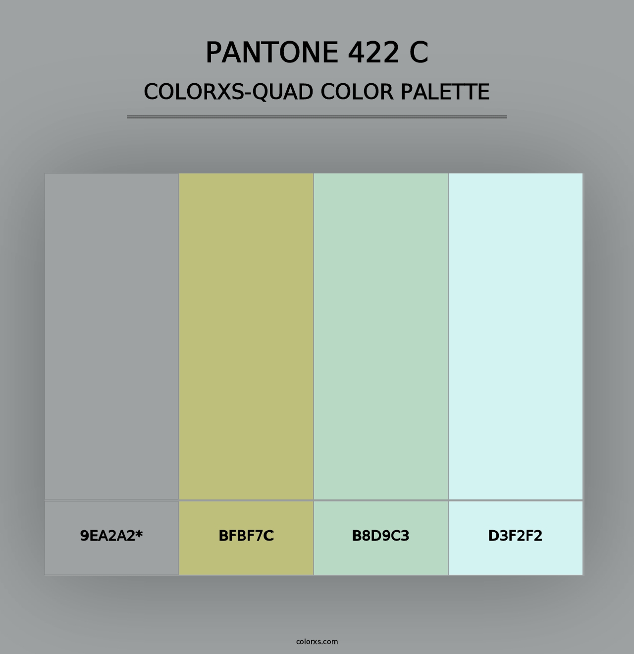 PANTONE 422 C - Colorxs Quad Palette