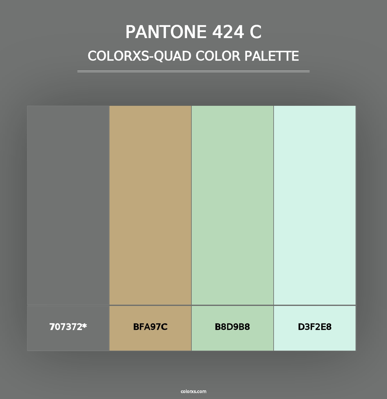 PANTONE 424 C - Colorxs Quad Palette